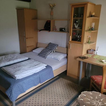 Apartma Vida Videm pri Ptuju المظهر الخارجي الصورة